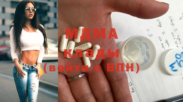 индика Алексин