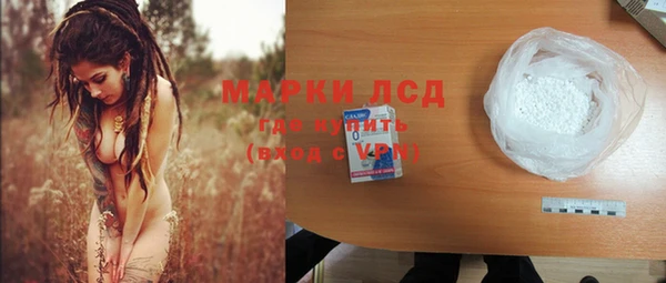 индика Алексин
