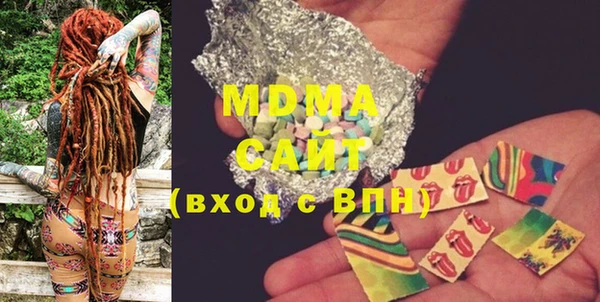 индика Алексин