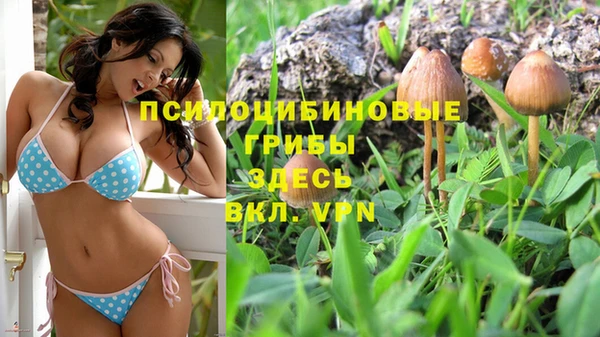 прущие крисы Аркадак