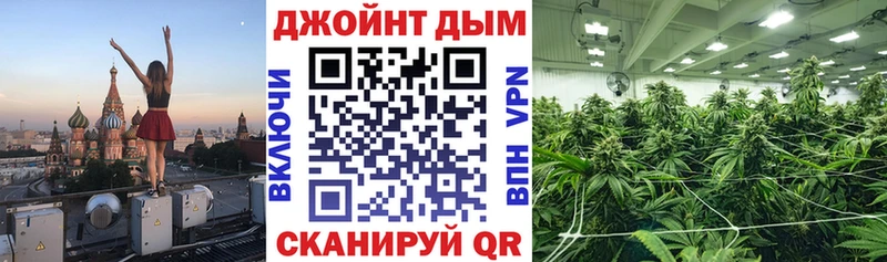 Марихуана сатива где найти Сибай